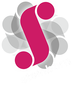 Steinborn - Programmierung